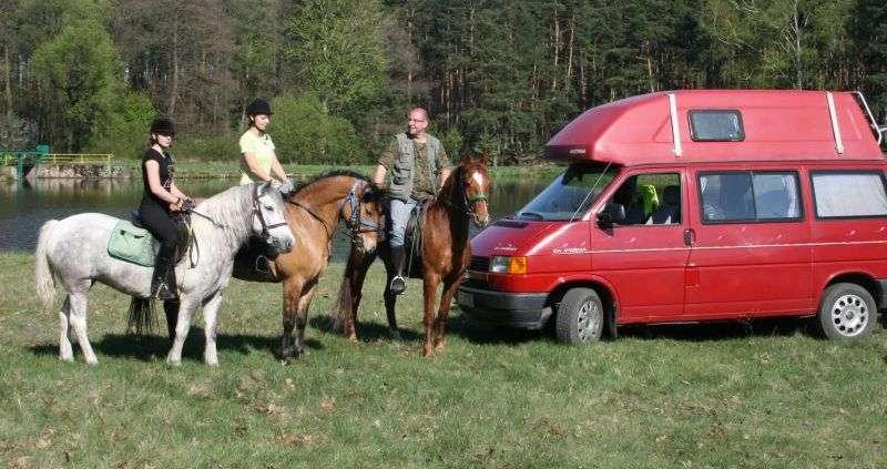 Dzikie pomysły - K &amp; K czyli konie i kamper  