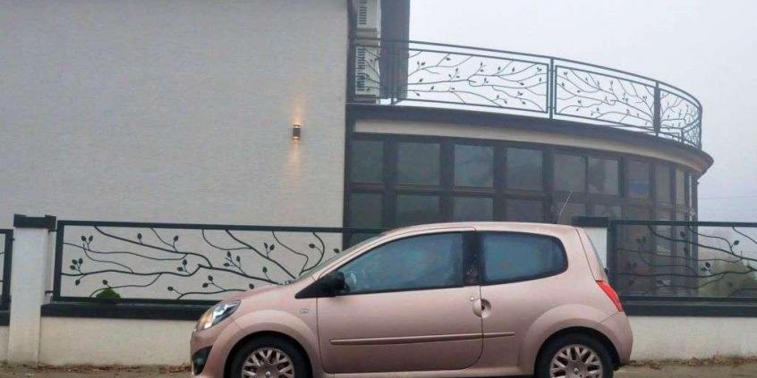 Renault Twingo - SPA-ce Shuttle