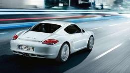 Porsche Cayman S - ultraszybki drapieżca