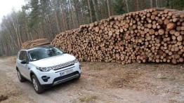 Land Rover Discovery Sport - godny następca/zastępca