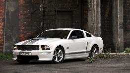 Ford Mustang V Coupe - galeria społeczności - lewy bok