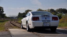 Ford Mustang V Coupe - galeria społeczności - widok z tyłu