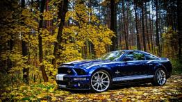 Ford Mustang V Coupe - galeria społeczności - lewy bok