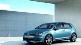 Volkswagen Golf VII Hatchback 5d - lewy bok