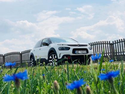 #Citroen #C4Cactus #Cactus