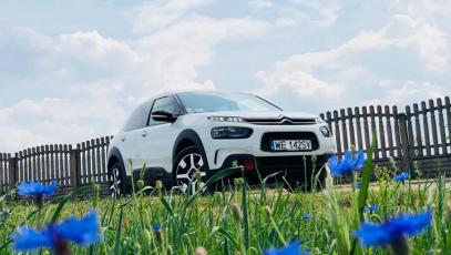 #Citroen #C4Cactus #Cactus