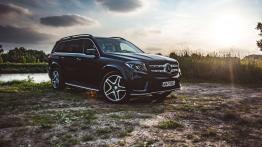 Mercedes GLS 500 - galeria redakcyjna