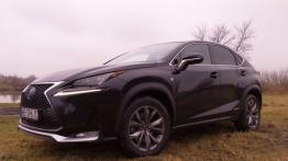 Lexus NX 300h 2.5 Hybrid 197 KM - galeria redakcyjna - widok z przodu