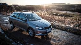 Skoda Fabia III Combi 1.0 MPI 75KM - galeria redakcyjna - prawy bok