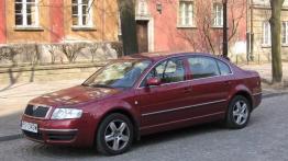 Skoda Superb 2.0 TDI  08.05.2006 - galeria redakcyjna - lewy bok