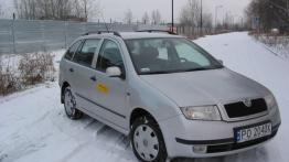 Skoda Fabia Combi 1.9 TDI Fresh+ - galeria redakcyjna - widok z przodu