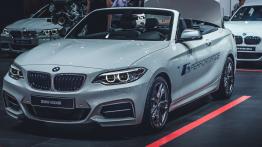 Paris Motor Show 2016 - galeria redakcyjna