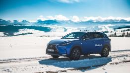 Lexus NX 200t F-Sport - galeria redakcyjna - widok z przodu