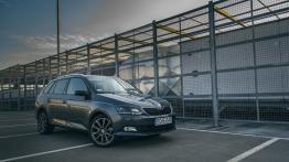 Skoda Fabia Combi 1,2 TSI Edition 1.2 TSI 110 KM - galeria redakcyjna - widok z przodu