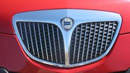 Lancia Ypsilon 1.3 JTD Multijet Argento - grill