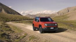 Jeep Renegade Trailhawk (2015) - wersja europejska - widok z przodu