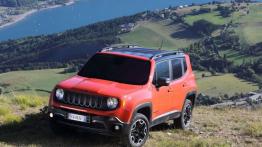 Jeep Renegade Trailhawk (2015) - wersja europejska - widok z przodu