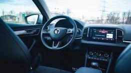 Skoda Karoq Style 2.0 TDI – czym się wyróżnia? 