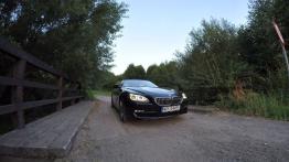 BMW Seria 6 Cabrio (F12) 650i 450KM - galeria redakcyjna - widok z przodu