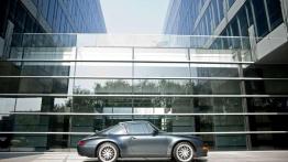 Porsche 911 (993) Carrera - Żaba