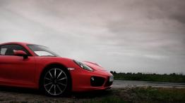 Porsche Cayman II Coupe 3.4 V6 325KM - galeria redakcyjna - bok - inne ujęcie