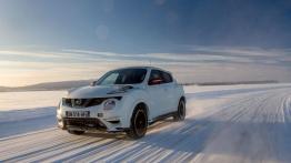 Nissan Juke Nismo RS (2014) - wersja europejska - widok z przodu