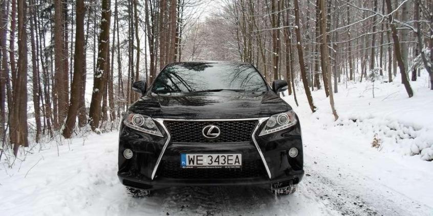 Lexus RX350 F-Sport - sportowy SUV?