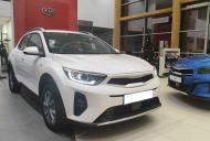 Kia Stonic 2024 1.2 DPI 79KM; wersja: M + pakiet SMART