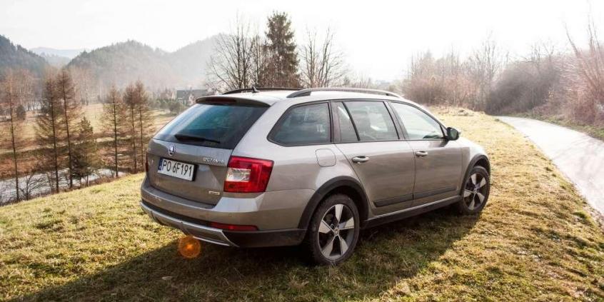 Skoda Octavia Scout 2.0 TDI - na (prawie) każdy szlak