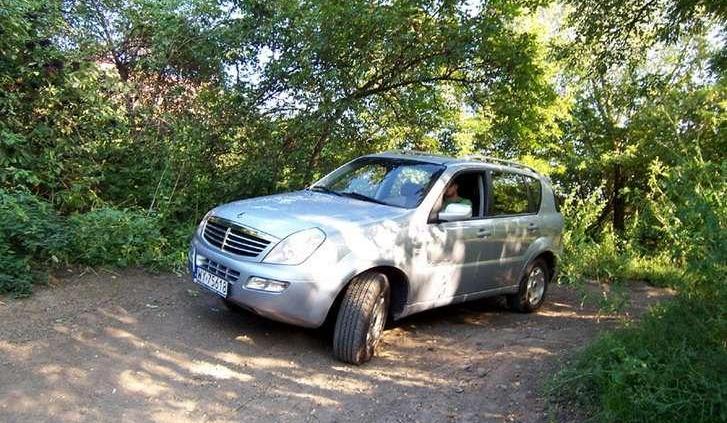 Najładniejsze z brzydkich kaczątek