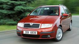 Skoda Fabia Kombi - widok z przodu