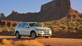 BMW X5 III (2014) xDrive30d - widok z przodu