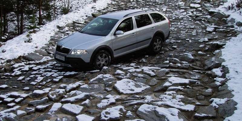 Skoda Octavia Scout w terenie