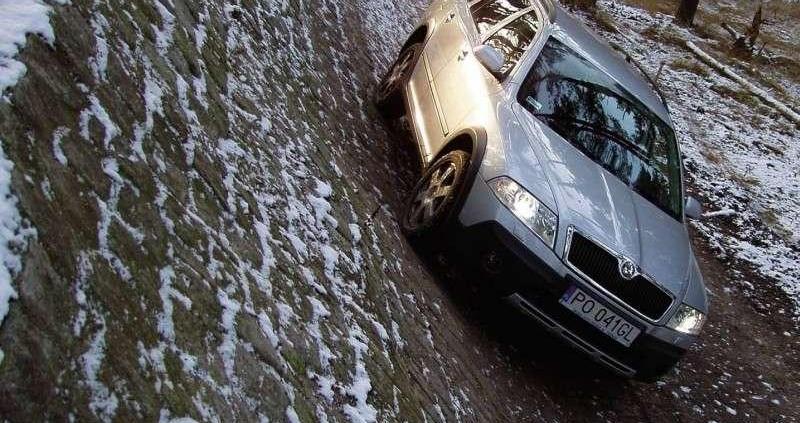 Skoda Octavia Scout w terenie