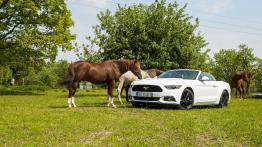 Ford Mustang Convertible 2.3 EcoBoost – galopująca legenda