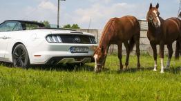 Ford Mustang Convertible 2.3 EcoBoost – galopująca legenda