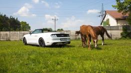 Ford Mustang Convertible 2.3 EcoBoost – galopująca legenda