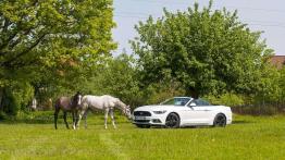 Ford Mustang Convertible 2.3 EcoBoost – galopująca legenda