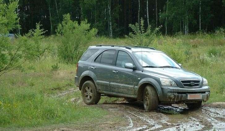 Na bezdroża i salony