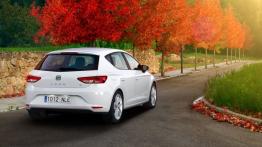 Seat Leon III TDI - widok z tyłu