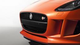 Jaguar F-Type - grill