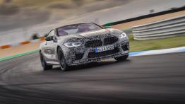 BMW Seria 8 II M Coupe