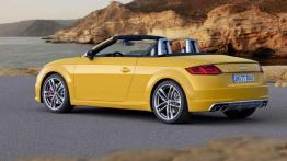 Audi TT i TTS w wersji Roadster zaprezentowane