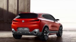 BMW X2 uzupełni stawkę