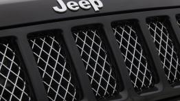 Jeep Grand Cherokee Altitude - grill