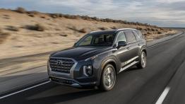 Hyundai Palisade - widok z przodu