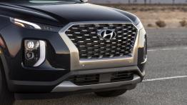 Hyundai Palisade - grill