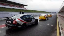 Skoda Octavia Cup - bestia w garniturze