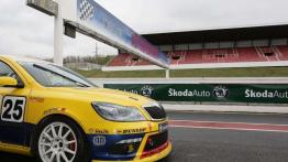 Skoda Octavia Cup - bestia w garniturze