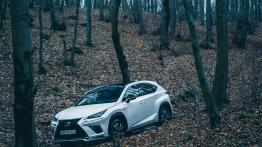 Lexus NX 300 – poza asfaltem